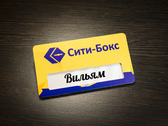 пластиковый бейджик с логотипом и окном